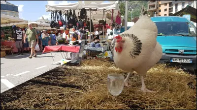 "Roxane" est une comédie interprétée par Guillaume de Tonquédec.