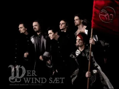 Complétez : 
"Am Horizont Möwen, die..."