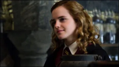 Hermione est devenue Auror.