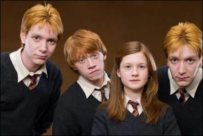 Ron Weasley avait six frères (avant qu'un d'entre aux ne meure).