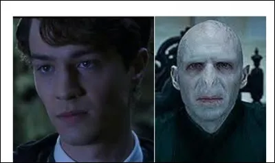 Les deux parents de Tom Jedusor (Voldemort) étaient des sorciers, il est donc de sang pur.