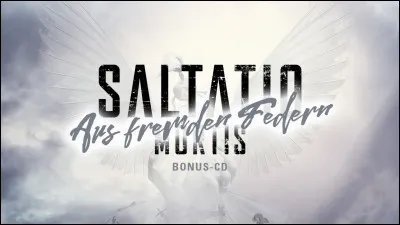 Complétez : 
"Durch Linien, gemalt in feinem... ?"