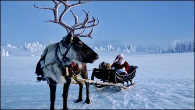 Noël célèbre la naissance de…