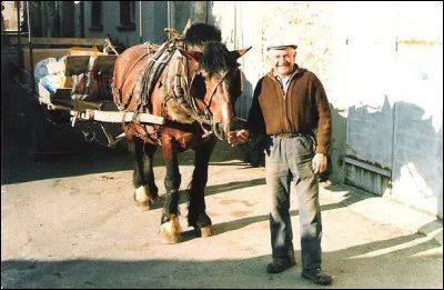 En 1985, Roger Borniche a &eacute;crit : Vol d'un nid de...