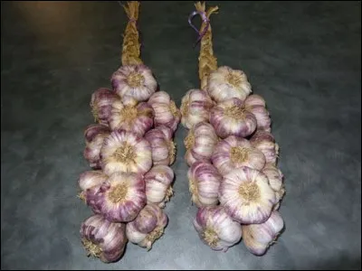 Lequel de ces livres a &eacute;t&eacute; &eacute;crit par Sylvia Plath ?