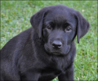 Et lui, te plaît-il ?