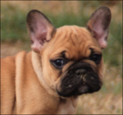 Et lui, te plaît-il ?