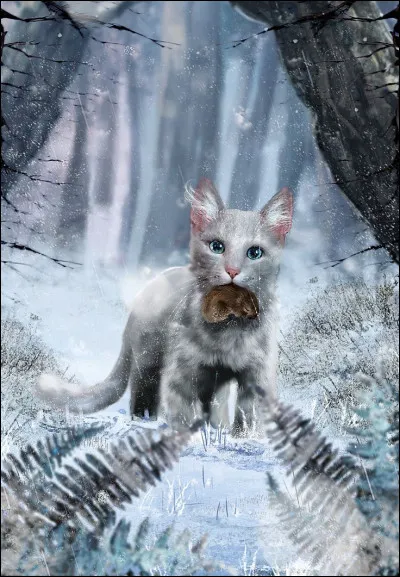 Malgré cela, la jeune chatte blanche n'en voulut pas le moins du monde à sa sur, bien qu'elle eut grandement l'envie d'être conviée à la réunion. Le lendemain, la novice attrapa sa première proie ! Mais lorsqu'il la vit, Plume d'Oie y vit une terrible prophétie : le Clan du Vent allait écraser le Clan du Tonnerre si ces derniers n'attaquaient pas avant. Comment déduit-il cela ?