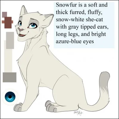 Bien que la plupart des membres du Clan semblèrent sceptiques, Étoile de Sapin prit la décision d'écouter la recommandation du guérisseur. Il choisit d'attaquer leurs voisins de la lande le lendemain. Et malgré le mécontentement de leur mère, il assigna Nuage de Neige et sa sur à un rôle pour la bataille. En quoi consistait leur tâche ?