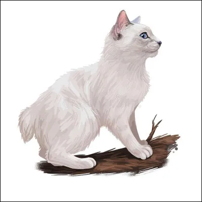 Peu à peu, Nuage de Neige retrouva sa joie de vivre, malgré la mort de sa mère, au contraire de Nuage Bleu. La mauvaise saison arriva et un épais manteau de neige recouvrit la forêt. Nuage de Neige eut alors une idée afin de capturer d'avantage de proies. Laquelle ?