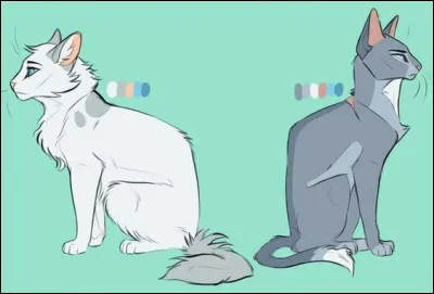 Puis Nuage de Neige demanda à sa sur de montrer d'avantage d'estime envers Nuage d'Épine. Mais Nuage Bleu rétorqua que la chatte blanche l'estimait déjà suffisamment pour deux, et tourna les talons. Quelques temps plus tard, les deux surs devinrent guerrières, sous les noms de Pelage de Neige et Lune Bleue ! Nuage d'Épine devint guerrier à son tour peu de temps après. De quelle façon ?