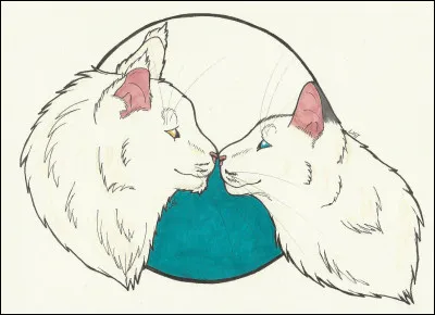 Dès le lendemain, Petite Tornade ouvrit les yeux, et partit explorer le camp. Qui le lui montra ?