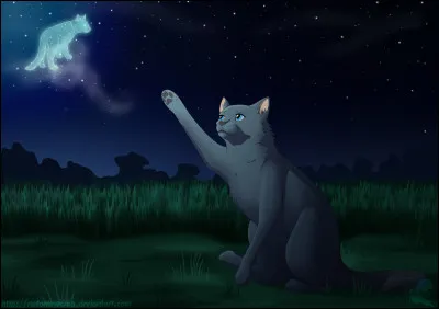Une fois sur le terrain de chasse des guerriers de jadis, Pelage de Neige vit sa sur terrassée par le chagrin annoncer à Petite Tornade la mort de sa mère. Puis Griffe d'Épine arriva, et se déchaîna contre la chatte grise. Quel félin l'arrêta ?