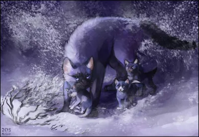 Ainsi, Lune Bleue éleva de son mieux Petite Tornade, qui devint un chat sage et courageux, sous le nom de Tornade Blanche. Mais la guerrière eut à son tour des petits, ceux de Cur de Chêne. Malheureusement, elle était appelée à devenir lieutenant, et à sauver le clan de l'emprise de Griffe d'Épine. Elle apporta donc ses petits à leur père. Mais Petite Écume mourut sur le chemin. Pourquoi ?