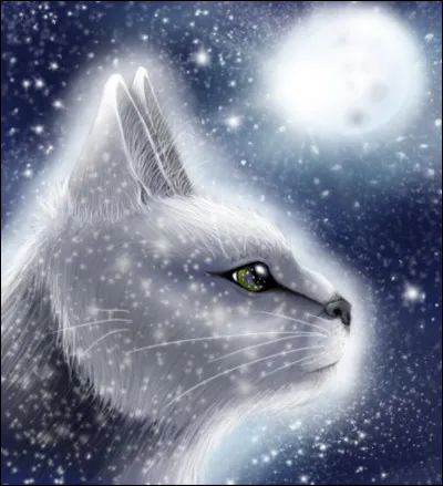 Pelage de Neige remercia alors sa sur d'avoir élevé Tornade Blanche, et lui déclara qu'elle avait été choisie il y avait bien longtemps, et que le Clan des Étoiles n'avait jamais regretté son choix. Bien des lunes plus tard, Griffe d'Épine mourut à son tour. Pour quelle raison ?