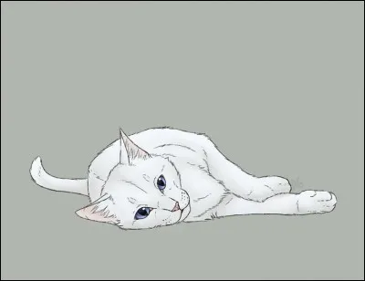 Dès qu'elles eurent toutes deux ouvert les yeux, Petite Neige entraîna sa sur dehors, et ensemble, elles découvrirent le reste du camp. Mais elles pénétrèrent par erreur dans le repère des guerriers, ce qui provoqua le mécontentement de l'un d'eux. De qui s'agissait-il ?