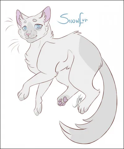 Ainsi, Petite Neige et sa sur reçurent leurs nouveaux noms de novices : Nuage Bleu et Nuage de Neige ! Quel guerrier devint le mentor de Nuage de Neige ?