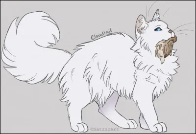 Ainsi, Nuage de Neige débuta son apprentissage de guerrière, et partit explorer le territoire du Clan du Tonnerre. Le lendemain, elle reçut sa première leçon de chasse avec Nuage Bleu. Et cette dernière réussit l'exploit d'attraper une proie dès sa première leçon ! De quel gibier s'agissait-il ?