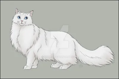 Cependant, ce soir-là, la lune était pleine, et l'Assemblée devait se tenir aux Quatre Chênes. Nuage Bleu fut désignée pour y aller, mais pas Nuage de Neige. Pour quelle raison ?