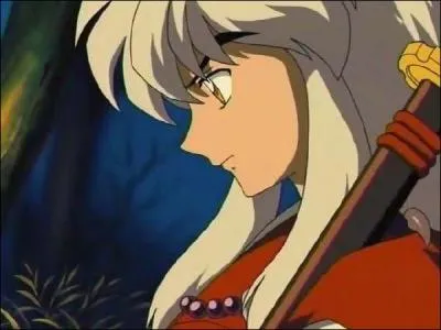Sous quelle forme est Inuyasha ?