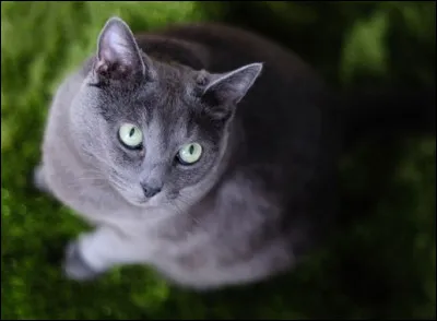 Et elle, je me demande bien ! Quelle est la bonne réponse ?