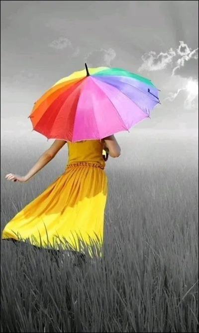 Qui a écrit le roman "Après la pluie le beau temps" ?