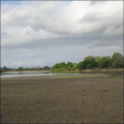 Dans quel pays africain peut-on visiter la Réserve de Gibier de Selous, où les animaux prédateurs vivent auprès de leur gibier ?