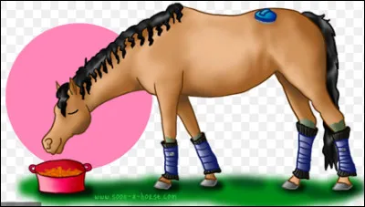 Combien de temps faut-il pour que les muscles récupèrent ?