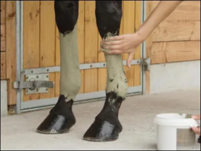 Quel est l'ordre des soins après concours ?