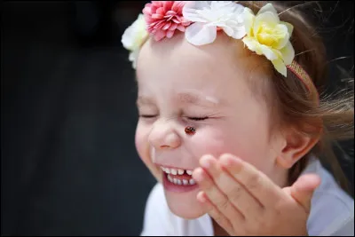 As-tu peur des insectes ?