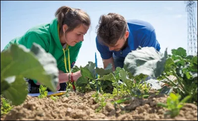 Vous aimez l'agriculture, l'environnement et l'alimentation... Vous devez vous tourner vers le baccalauréat...