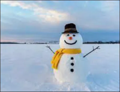 Sous quelle forme aimerais-tu fêter Noël ?