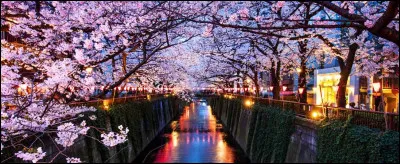 Quelle est la capitale du Japon ?