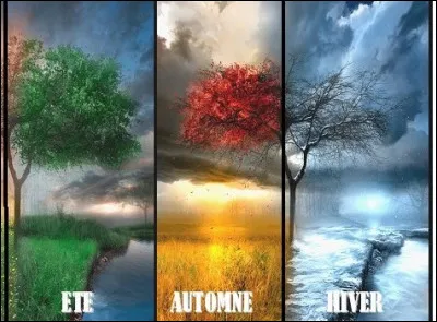 En quelle saison fête-t-on Noël ?