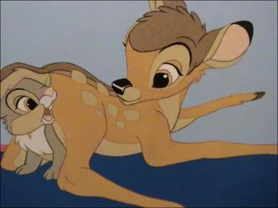 Mon ami Pan-Pan est un livre