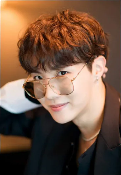 Quel est le nom de scène de Hoseok ?