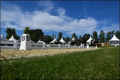 L'encrine, l'échinoderme fixé au fond des mers par une longe tige, est également connue sous le nom de...
