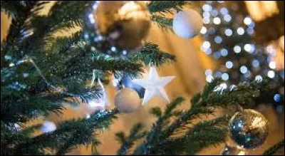 Le plus ancien march&eacute; de No&euml;l se trouve dans la ville de Nancy.