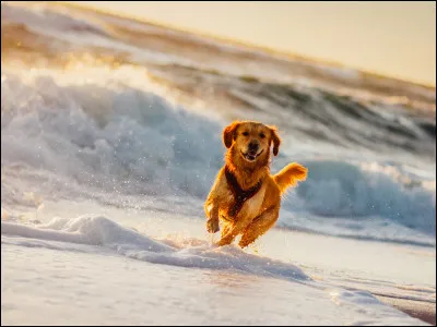 Où préfères-tu partir en vacances ?