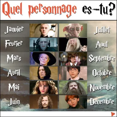 Qui est l'ennemi de Harry, Hermione et Ron ?