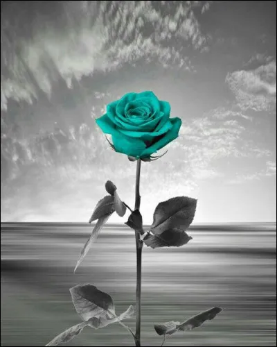 À quel grand compositeur doit-on "Jeux deau à la villa dEste" ?