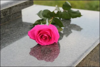 Dans sa chanson : "Je sais", qui est morte ?