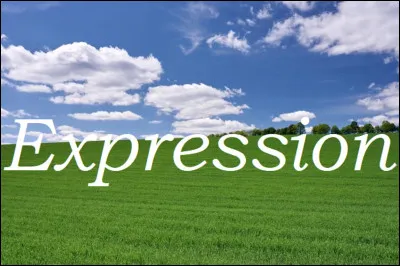 Qui signifiait l'expression ''Aller sur le pré'' ?