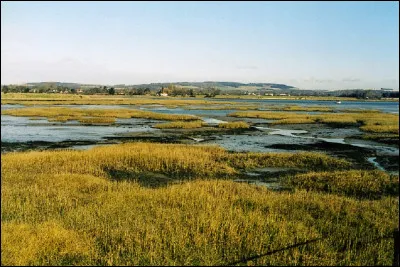 Quel animal peut être de pré-salé ?