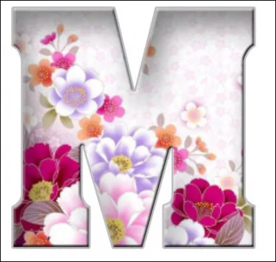 J'M le Michigan ! Quelle est sa capitale ?