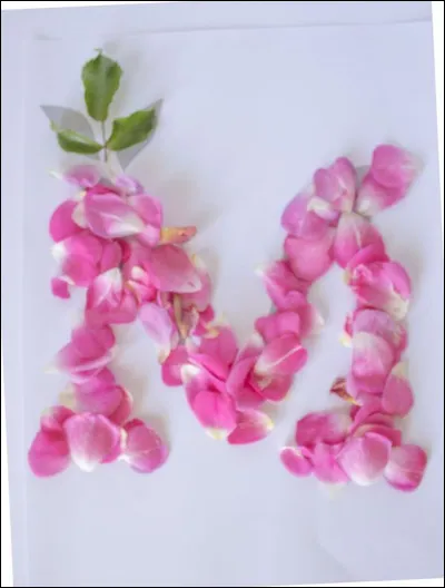 J'M la mafia ! Quel est le nom de la mafia napolitaine ?