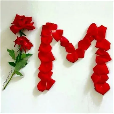 J'M le monde ! Qui chante "Et un jour, une femme dont le regard vous frôle vous porte sur ses épaules comme elle porte le monde" ?