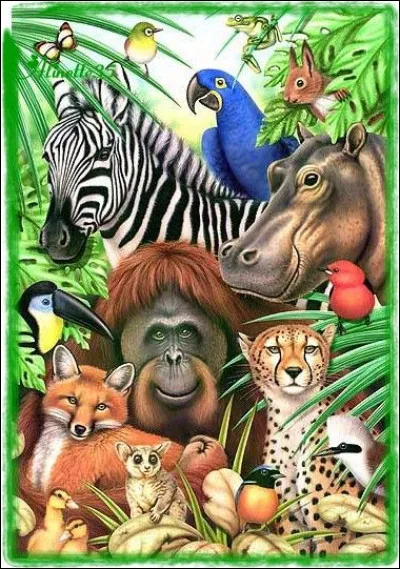 Que pr&eacute;f&egrave;res-tu manger ?