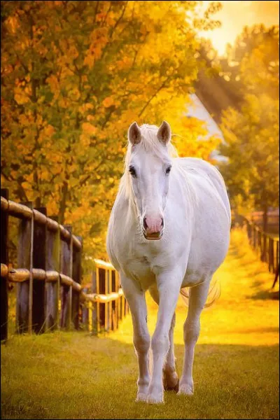 Tu es seul dans ton coin et deux personnes viennent t'emb&ecirc;ter.