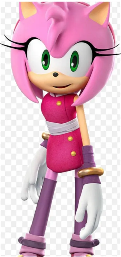 Quelle arme Amy utilise-t-elle pour se battre ?